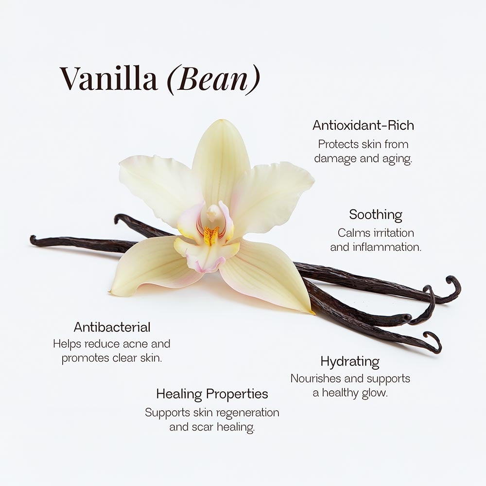 Close up of Vanilla Bean with benefits