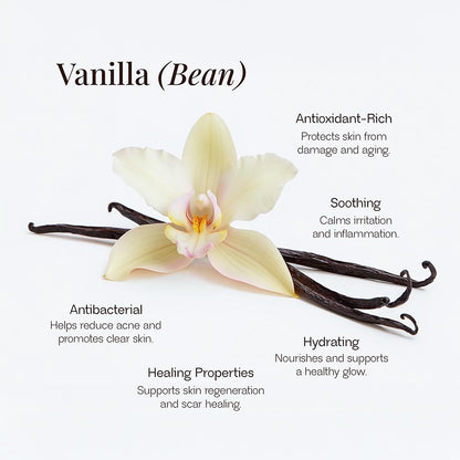 Close up of Vanilla Bean with benefits